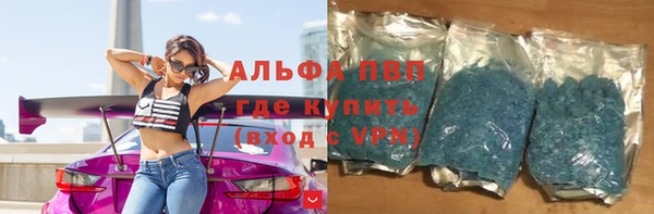 индика Аркадак
