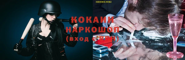молекула духа Арсеньев