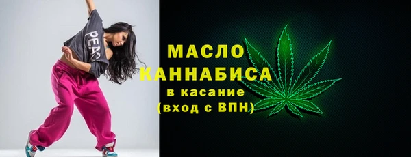 индика Аркадак