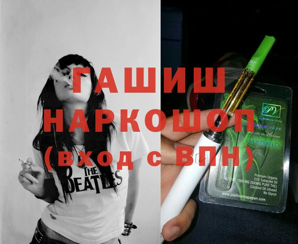 молекула духа Арсеньев