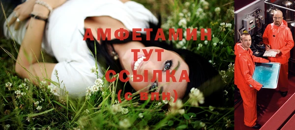 шишки Алексин