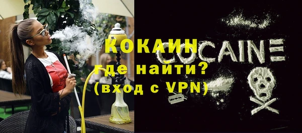 индика Аркадак