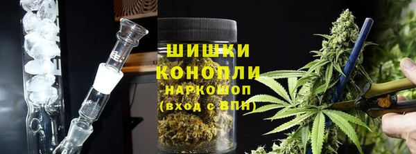 индика Аркадак
