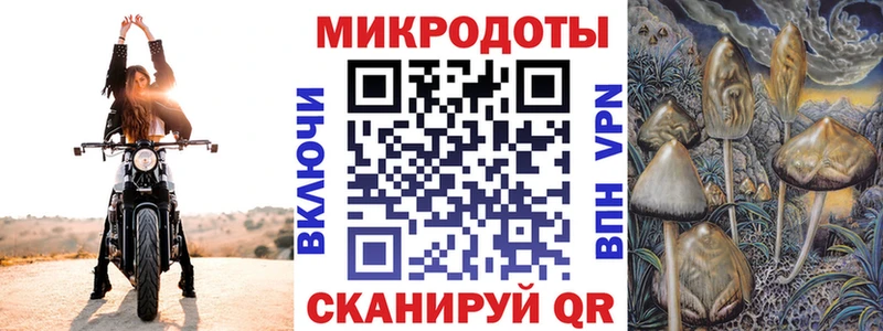 Галлюциногенные грибы мицелий  купить наркоту  блэк спрут сайт  Нолинск 